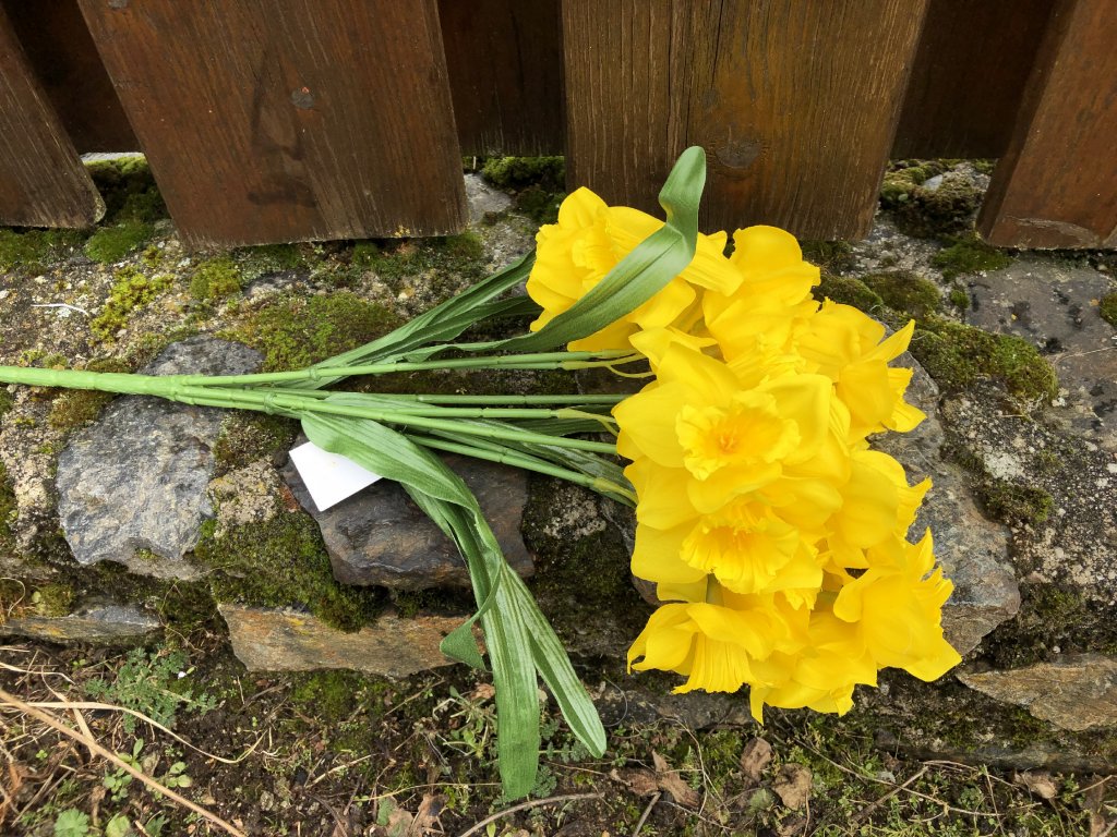 Umělé narcisy žluté 41cm